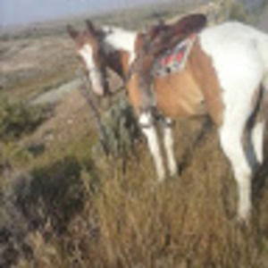 Meet your Posher, Tianna